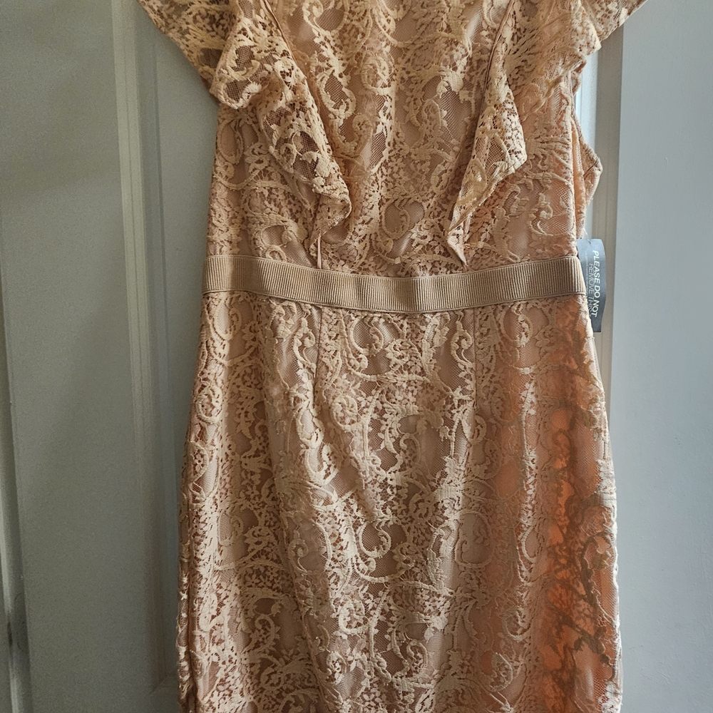 Eva Mendes Pink Sheath Dress with Bateau Neckline